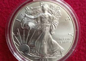 Srebrny amerykański orzeł 2016