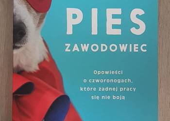 Pies zawodowiec Greaves