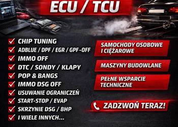 Chiptuning Pliki Współpraca DPF EGR SCR Ciężarowe Pomoc