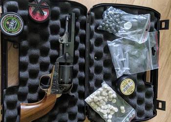 Colt czarnoprochowy