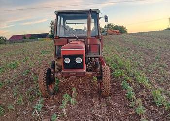 Zetor