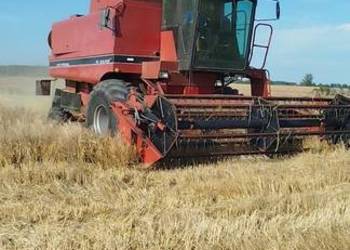 Kombajn zbożowy rotorowy Case 1640, heder 4.3 m