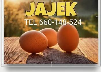 Jajka wiejskie
