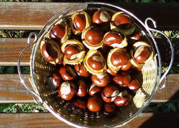 kasztany figurki nalewki ozdoby