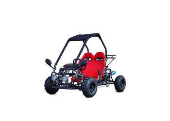 Dwuosobowe mini buggy spalinowe - BUGGY BS 125cc - 50km/h