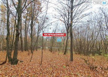 Grunt Chęciny 9900m2