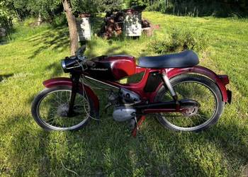 Komar 2360