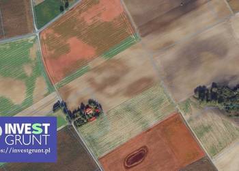 [23,80 ha] grunty rolne przetarg na  dzierżawę