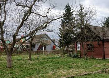 Ogród rekreacyjny ROD z domkiem blisko jeziora, Nysa