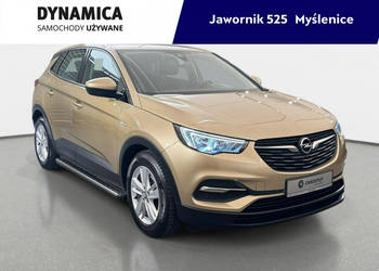 Opel Grandland X 1.2Turbo 130KM M6 2018/2019 r., salon PL, 118tys.km przeb…