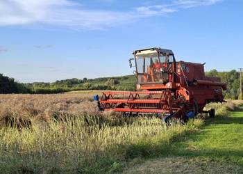 Bizon Z056 (klima, stół do rzepaku, drugi silnik)