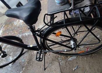 Damka Adler Miejski Niemcy