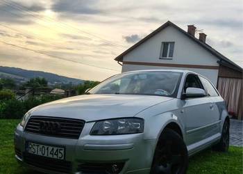 Audi a3 8p 1.9 tdi