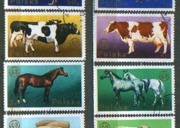 Zn. Fi 2231 - 8 kas 1975