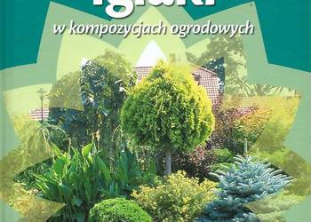 Iglaki w kompozycjach ogrodowych /fa