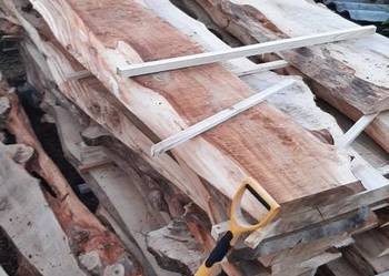 Wiąz deski bale brusy wiązu