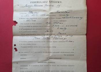 ( 1344 ) Formularz Spisowy, Gładki