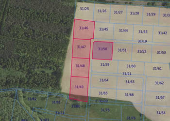 Działki 31/46 i inne w miejscowości Grabowno Wielkie