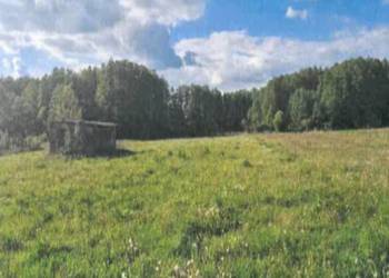 Sprzedaż nieruchomości Brzozówka – 2,76 ha