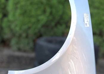 Jaguar XF250 Błotnik Lewy Przód Przedni blotnik lakier nie znany