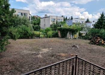 Koszenie trawy, karczowanie zarośli, wycinka drzew , prace porządkowe