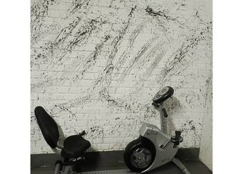 Rower Stacjonarny Elektromagnetyczny Poziomy Programy Wysyłka HIT