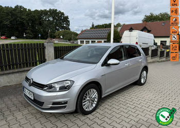 Volkswagen Golf 1,2 tsi ładny świeżo zarejestrowany z Niemiec. VII (2012-)