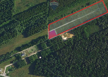 Działka budowlana 977 m², las i cisza – Zakrzów