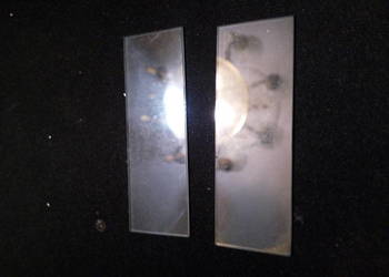 szkiełka do mikroskopu 2szt szkiełka do mikroskopu 2szt