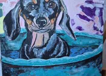 Obraz jamnik jamniczek od artysty na prezent na ozdobę