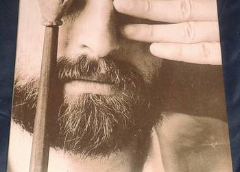 Kamyk i cień - Julian Kornhauser