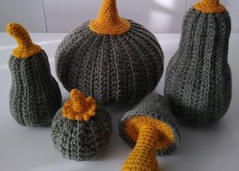 Dynia Dynie Pumpkin Family and Mushroom Set