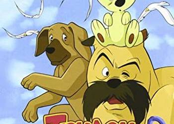 Piesek Bum Bum wersja Francuska 4 DVD