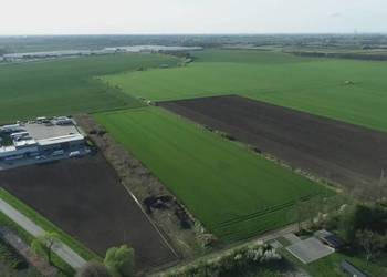 Działka 6000 m2 Milejowice / Krajków / Żórawina obok A4 Usługowa (U)