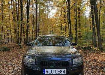 Audi a3 8p 2.0 TDI