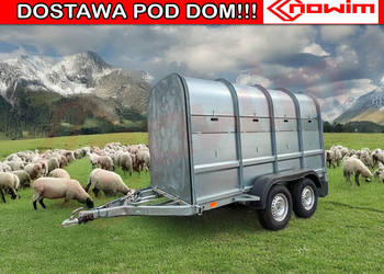 Przyczepa do samochodu dla zwierząt agroturystycznych alpak owiec kóz