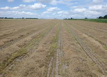 Saladera seladera seradela saradela