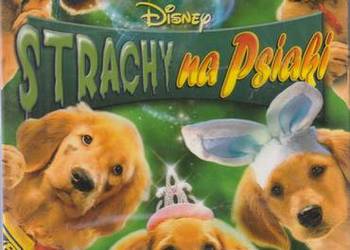 STRACHY NA PSIAKI (2011) dubbing - Disney DVD