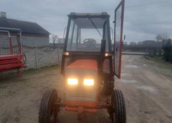 Sprzedam Władymirec t25