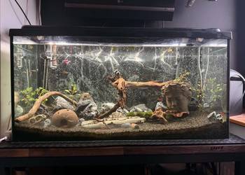 AKWARIUM 200L 100x50x40