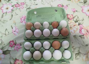 Jajka wiejskie z dowozem