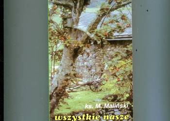 Wszystkie nasze dzienne sprawy - ks. Maliński