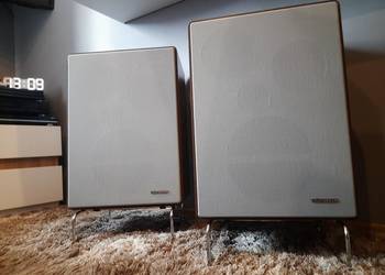 Kolumny Telefunken TL800