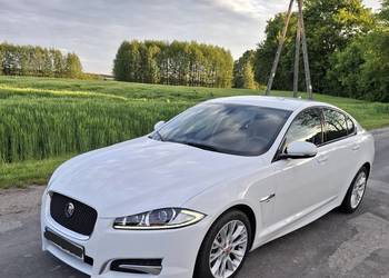 Auto do ślubu Jaguar XF Biały Alpejski