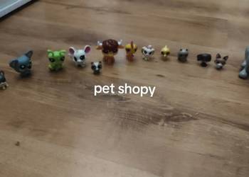 Sprzedaje pet shopy