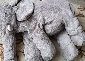 miś maskotka pluszak słoń