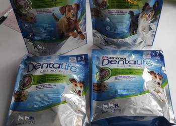 Gryzaki dla psa zdrowe zęby i dziąsła nowe