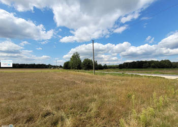 Grunt na sprzedaż 8000m2 Kluczewsko