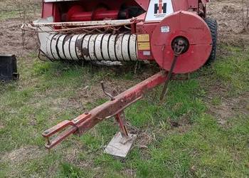 Sprzedam prase kostke