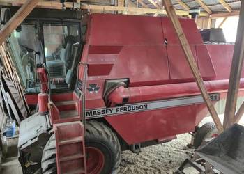 Massey ferguson 31
